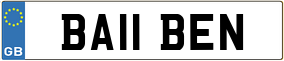 Truck License Plate